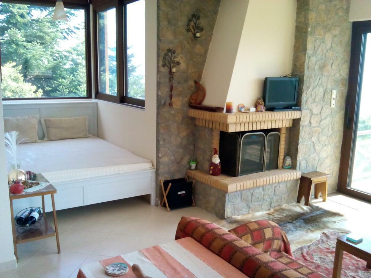 Elatos Cozy Studio Ano Trikala Exterior foto