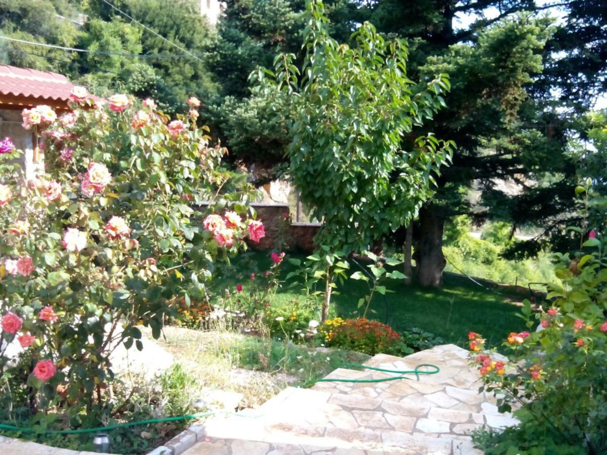Elatos Cozy Studio Ano Trikala Exterior foto