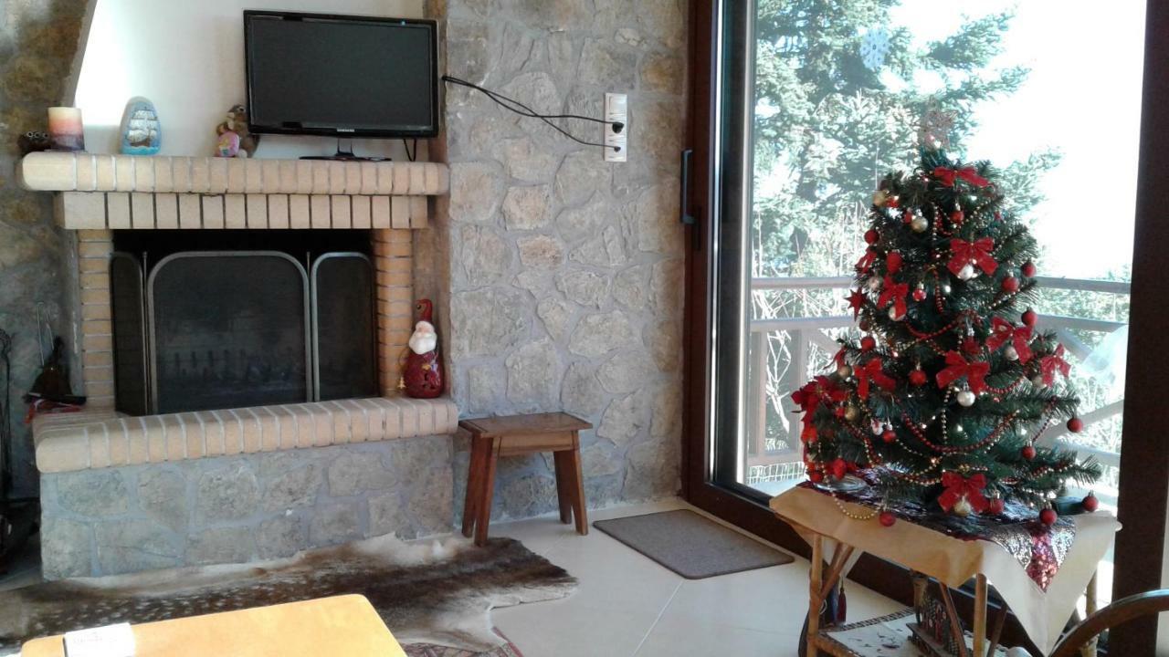 Elatos Cozy Studio Ano Trikala Exterior foto