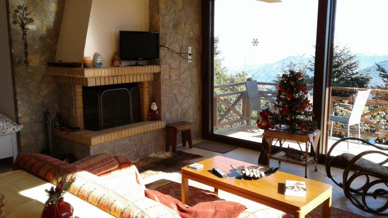 Elatos Cozy Studio Ano Trikala Exterior foto