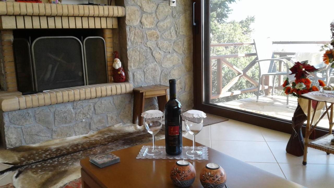 Elatos Cozy Studio Ano Trikala Exterior foto