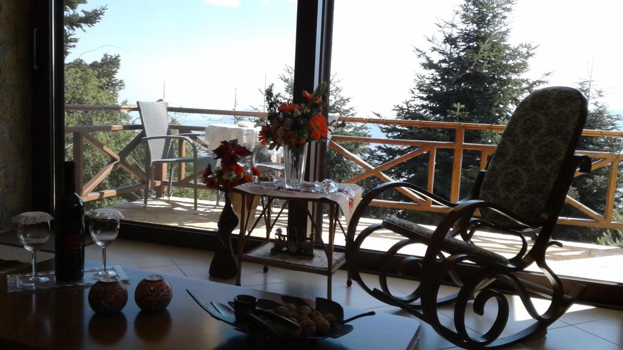 Elatos Cozy Studio Ano Trikala Exterior foto