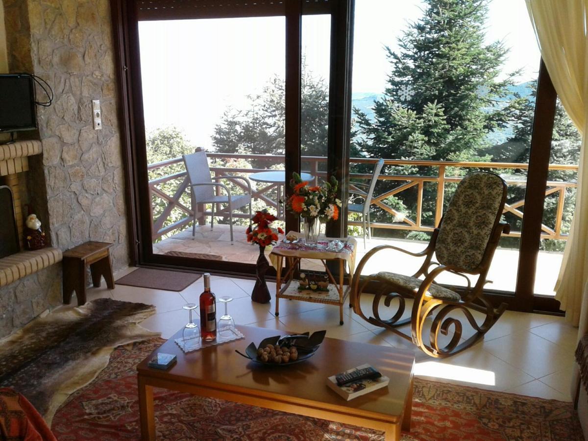 Elatos Cozy Studio Ano Trikala Exterior foto