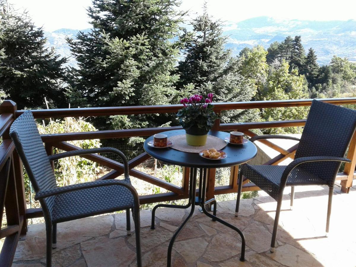 Elatos Cozy Studio Ano Trikala Exterior foto