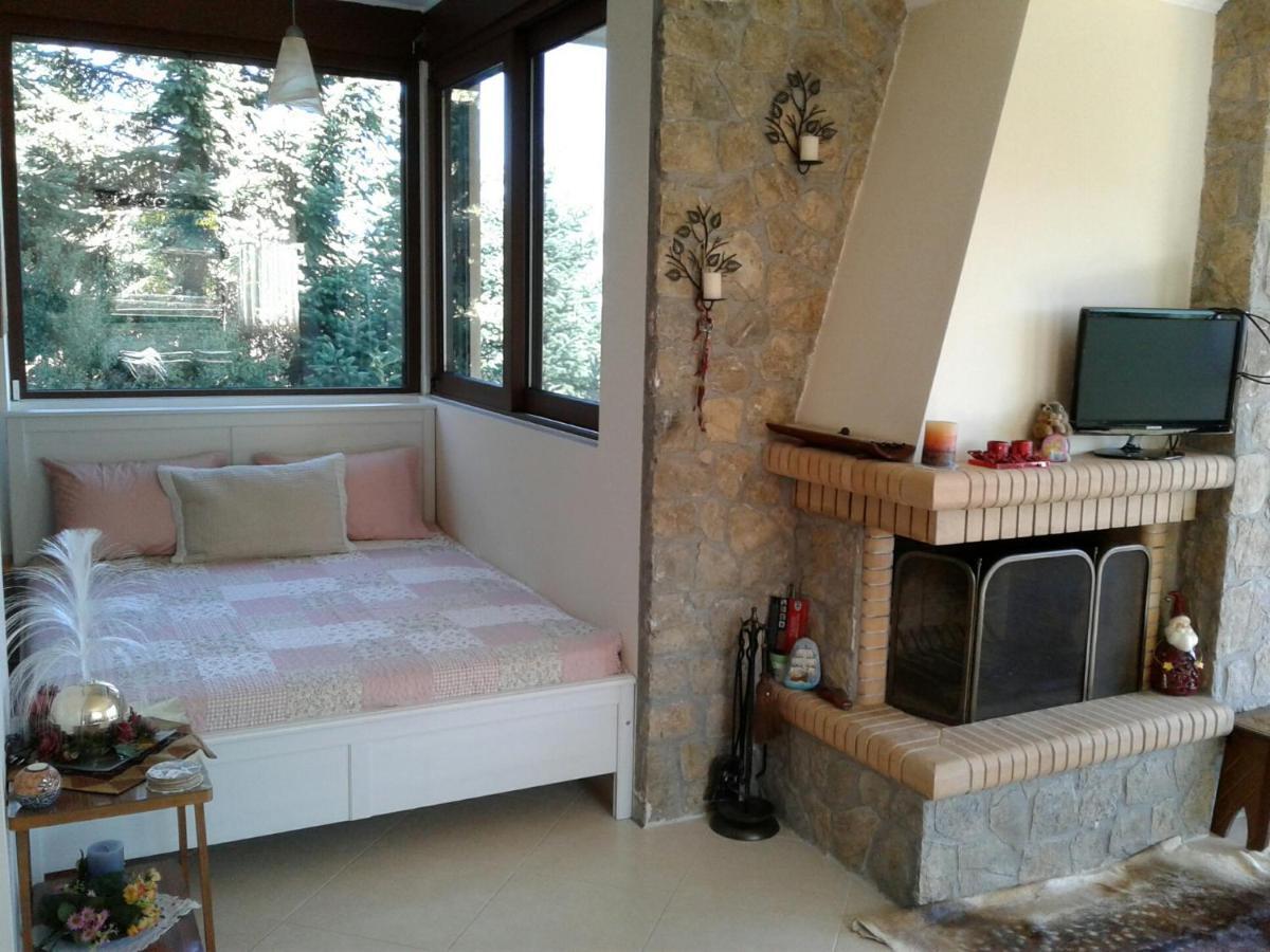 Elatos Cozy Studio Ano Trikala Exterior foto
