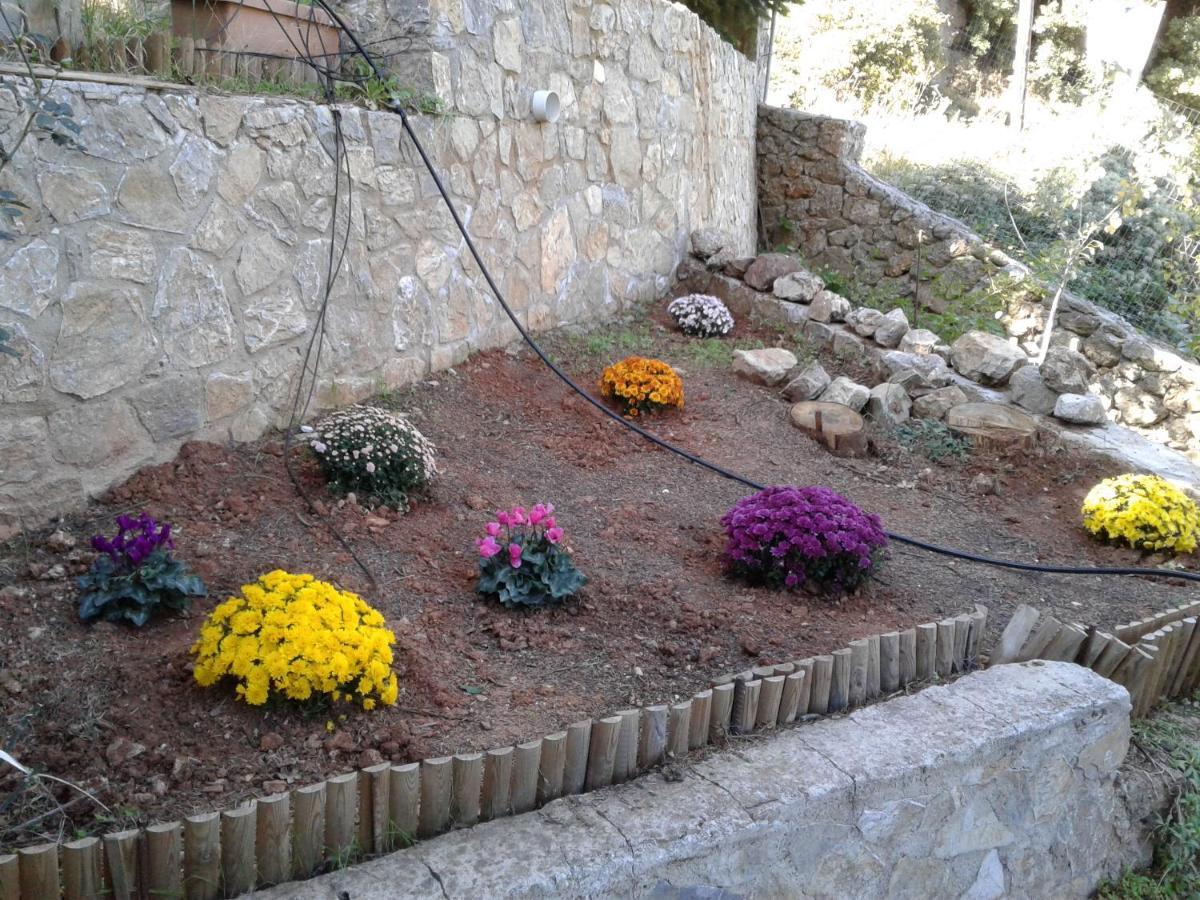 Elatos Cozy Studio Ano Trikala Exterior foto